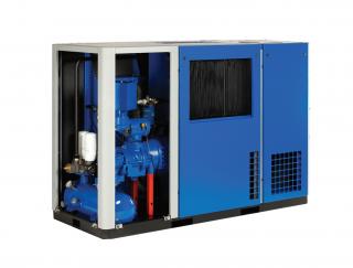 Variable Speed Compressors